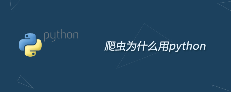 爬虫为什么用python