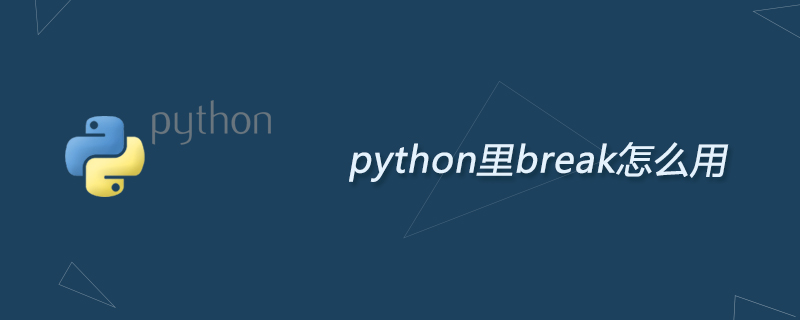 python里break怎么用
