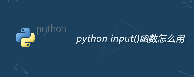 python input()函数怎么用