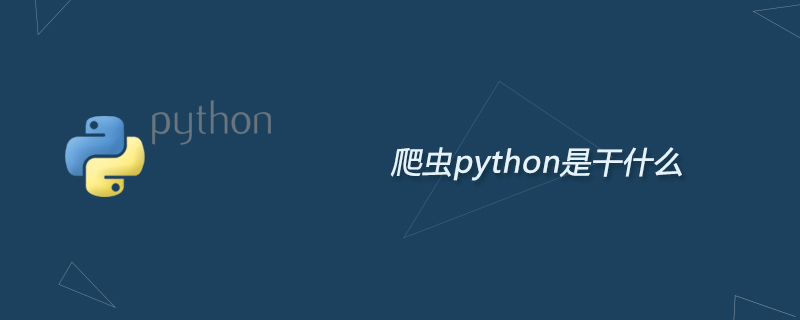 爬虫python是干什么