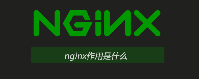 Welche Rolle spielt Nginx?