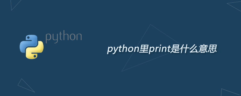 What does print mean in python?