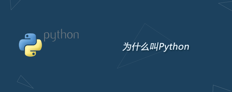 为什么叫Python