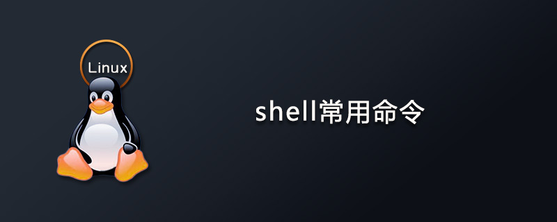 Common shell commands