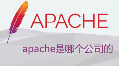 apache是哪个公司的