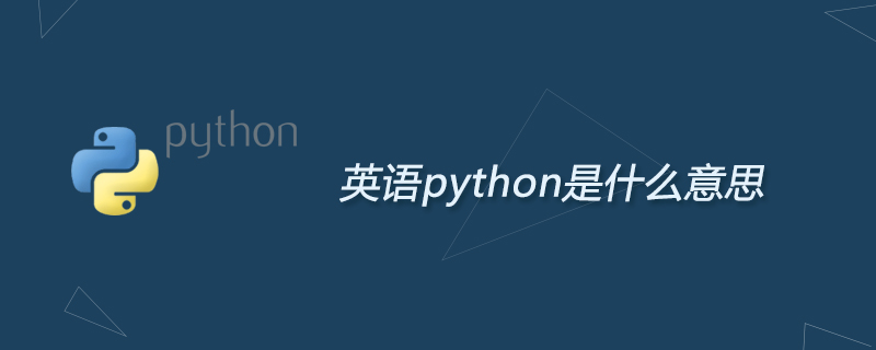 Que signifie python en anglais ?