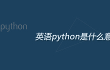 英语python是什么意思