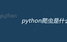 python的爬虫是什么意思