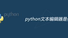Python 텍스트 편집기 란 무엇입니까?