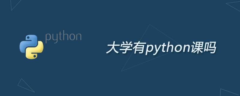 大学有python课吗