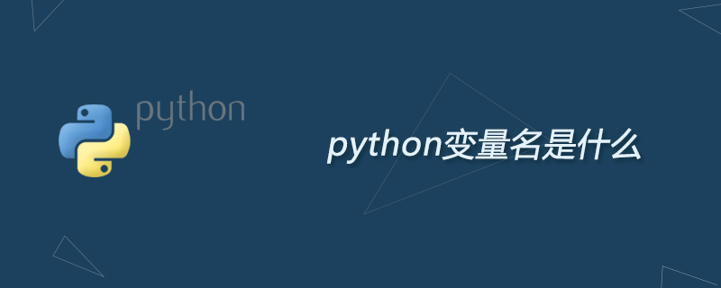 python变量名是什么