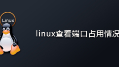 Check port occupancy in linux