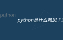 python是什么意思？怎么读？