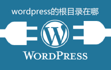 wordpress的根目录在哪