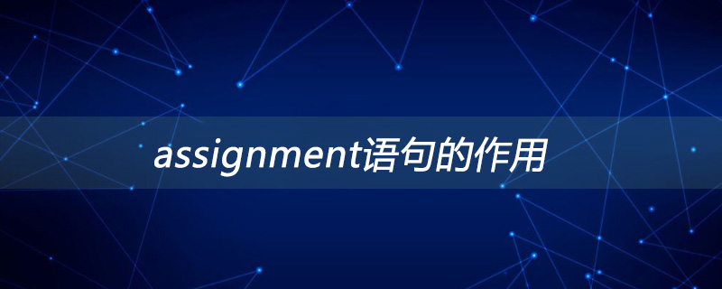 assignment语句的作用是什么