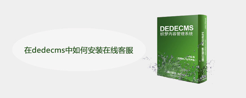 在dedecms中如何安裝在線客服-小浪學習網
