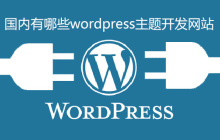 国内有哪些wordpress主题开发网站
