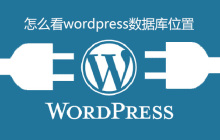 怎么看wordpress数据库位置