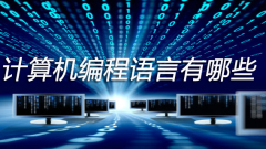 What are computer programming languages?