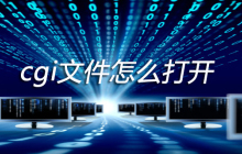 cgi文件怎么打开