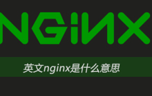 英文nginx是什么意思