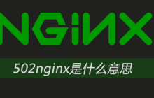 502nginx是什么意思