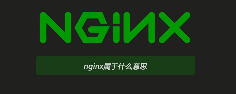 nginx屬于什么意思-小浪學習網