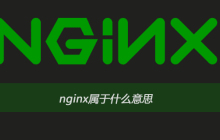nginx属于什么意思