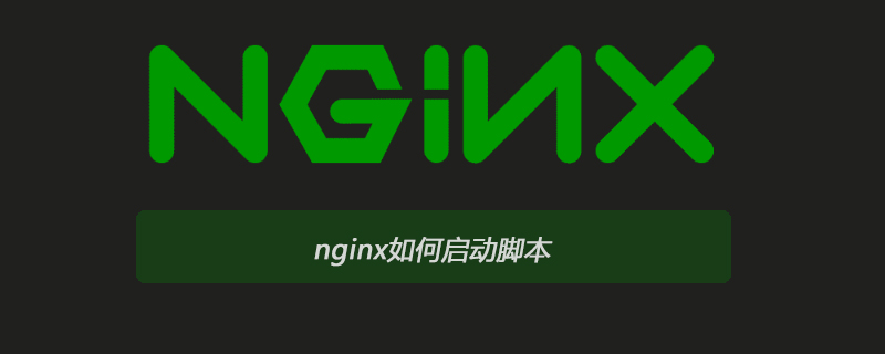 nginx如何启动脚本
