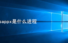 wsappx是什么进程