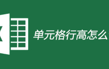 单元格行高怎么设置