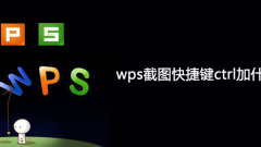 What should I add to the wps screenshot shortcut key ctrl?