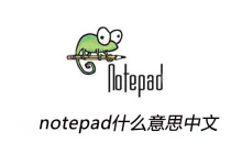 notepad什么意思中文