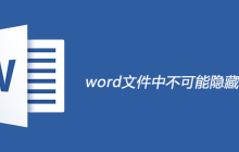 word文件中不可能隐藏病毒是错的吗？