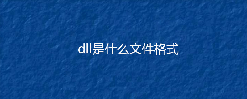 dll是什么文件格式