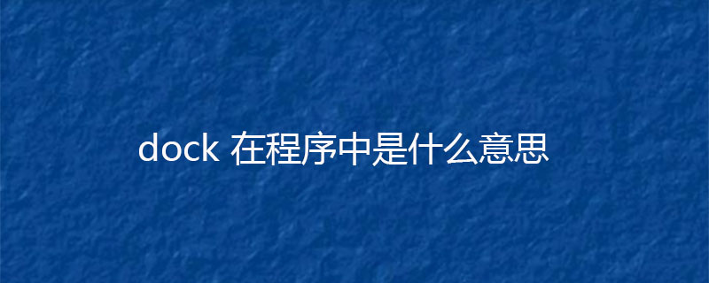 dock 在程序中是什么意思