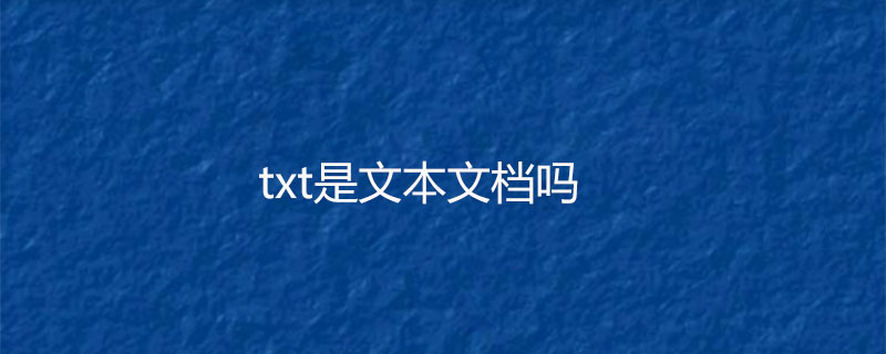 txt是文本文档吗