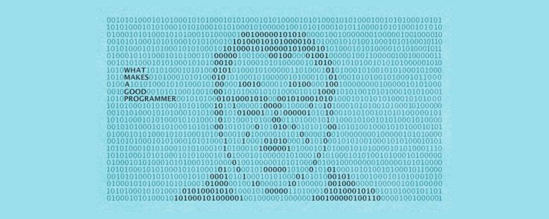 程序员什么意思