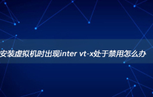 安装虚拟机时出现inter vt-x处于禁用怎么办