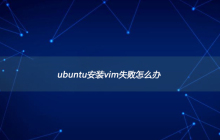 ubuntu安装vim失败怎么办
