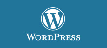 How to remove WordPress version number using code