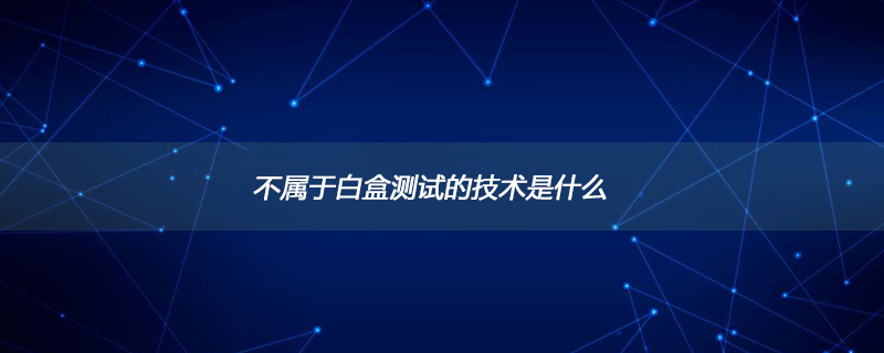 不属于白盒测试的技术是什么
