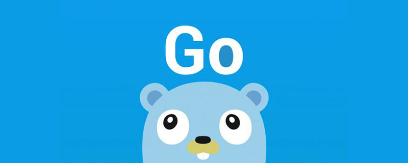 ​Lernen Sie, wie Sie golang.org-Pakete importieren