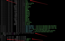 linux下怎么安装composer并改源
