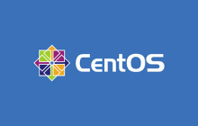 如何解决centos cat 乱码问题