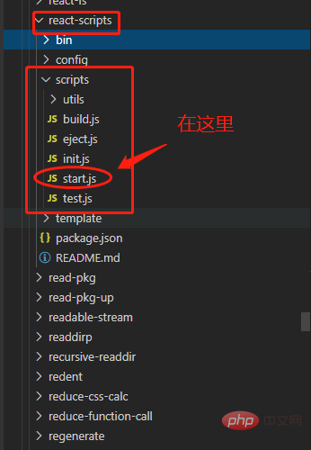 start.js文件