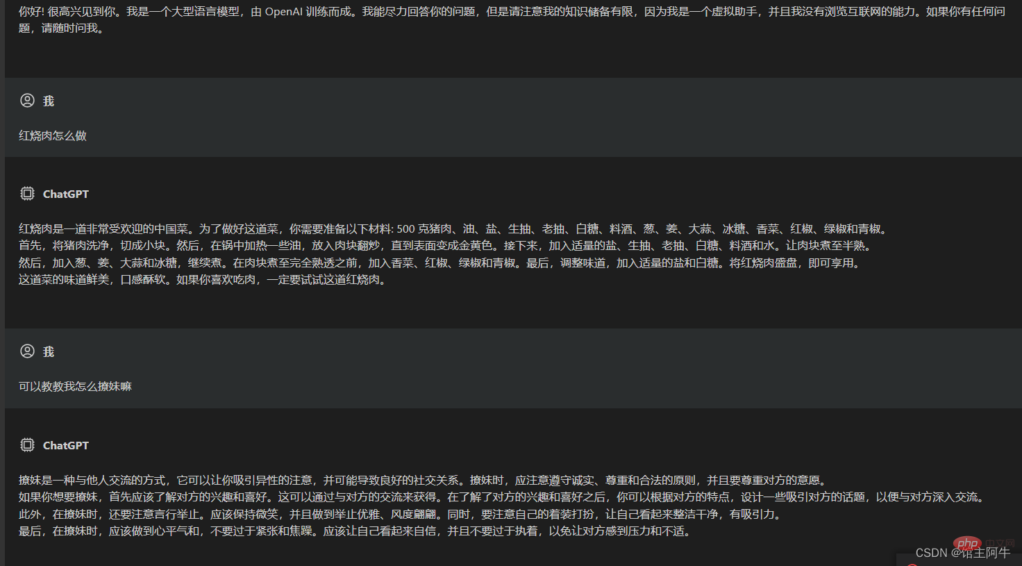 vscode配置中文插件，带你无需注册体验ChatGPT！