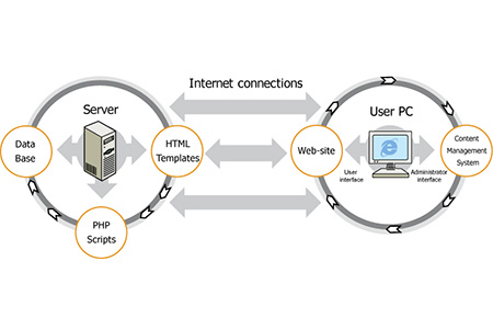 HTML和ASP之间的区别是什么