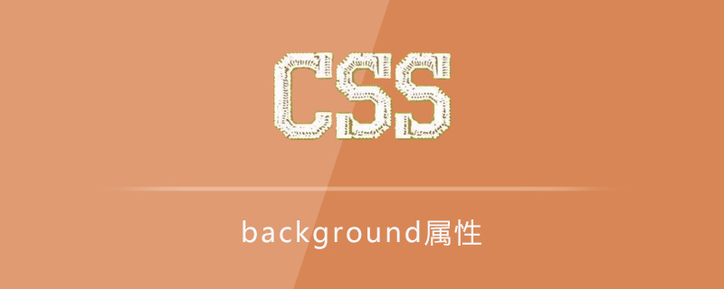 background属性怎么用
