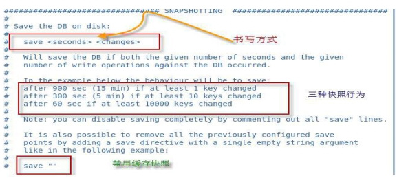 Redis的持久化和主从复制机制介绍-小浪学习网